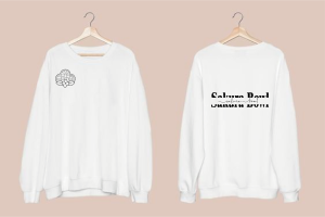 Ropa Personalizada (Sweaters/Poleras)